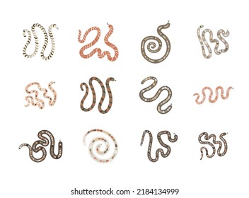 2,241 Simple venomous snake Images, Stock Photos & Vectors | Shutterstock