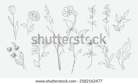 Simple delicate abstract flowers, leaves, branches and grass spikelet in linear style drawings set isolated on white. Transparent graphic botanical art sketches for design use on any color background.