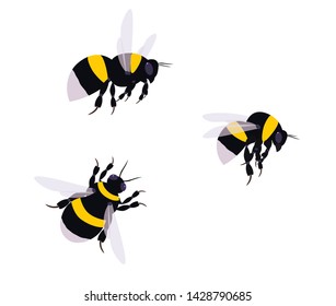 
Simple design of a bumblebee black  and yellow three on a white background vector. Bumble bee for textile, print or web design style, branding package, fabric print, wallpaper.