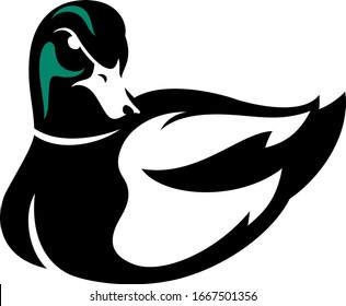 Simple Design of Grumpy Drake Mallard  (GreenHead Duck) Vector