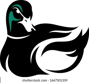 Simple Design of Grumpy Drake Mallard  (GreenHead Duck) Vector