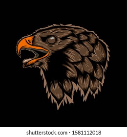 simple design of hawk predator on white background. 