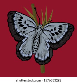 simple design illustration of butterfly on twigs on red background 