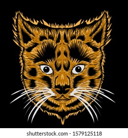 simple design of illustration face cat on black background. 