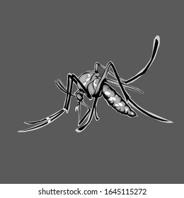 Simple design of illustration mosquito insect. 