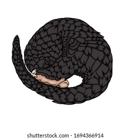 Simple design of illustration pangolin with Circular, form of survival. 