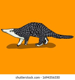 Simple design of illustration pangolin with color on orange background. 