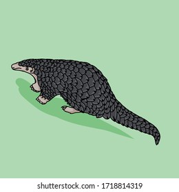 Simple design of illustration pangolin on White background vector 