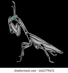 Simple design of illustration Praying mantis on black background 