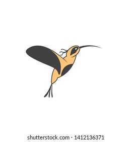 simple design orange bird logo