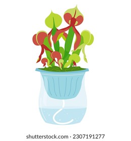 Diseño simple de sistema de autoriego, riego de mecha para planta maceta. Cultivando una flor carnívora con hojas especializadas durante las vacaciones. Ilustración de flores vectoriales aisladas en fondo blanco