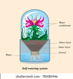 Simple design of Self-watering system for potted plant. Cultivation a flower in an isolated environment, infographics cutout scheme, vector illustration