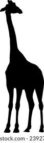 Simple design of silhouette of giraffe