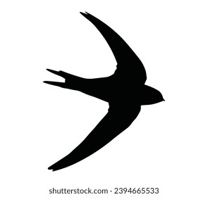 Simple Design of Swift Bird Flying.