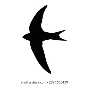 Simple Design of Swift Bird logo icon template vector.