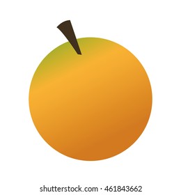 simple design whole orange icon vector illustration