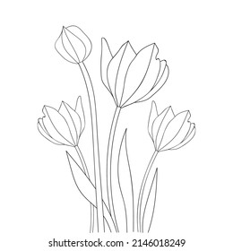 simple detailed line art tulip coloring page artwork of blooming branch 