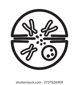 a simple diagram showing cell division with chromosomes and spindle fibers in a cell