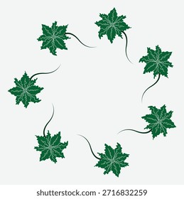 Marco circular de hojas de ceniza verde de inmersión simple. Lindo borde de la corona de hojas. Hola otoño. Ilustración estacional de Vector. Plantilla para cartel, postal.
