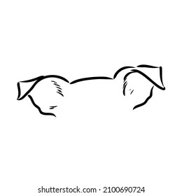 simple perro. Ilustración vectorial. esbozo vectorial de orejas de perro