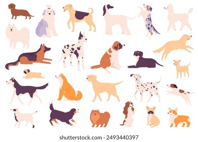 Simple dogs. Different dog breeds including a Shiba Inu, Poodle and Bulldog, Shih Tzu and Chow Chow, Dachshund and Wiener, German Shepherd and Labrador vector puppy pets set isolated.