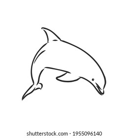 simple dolphin silhouette dolphin, vector sketch on a white background