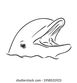 simple dolphin silhouette. dolphin, vector sketch on a white background