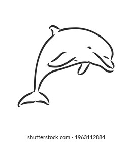 simple dolphin silhouette. dolphin, vector sketch on a white background
