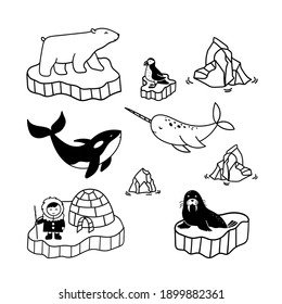 Simple doodle drawings about polar inhabitants - eskimo, bear, narwhal, killer whale, puffin and walrus. Vector illustrations of arctic birds and animals.