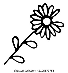 Simple doodle flower. Hand drawn chamomile. Vector illustration. For poster, banner, baby projects, print.