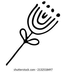 Simple doodle flower isolated on white background. Hand drawn tulip. Vector illustration. For poster, banner, baby projects, print, coloring book.