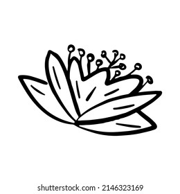 simple doodle hand drawn blooming tulip vector outline icon illustration