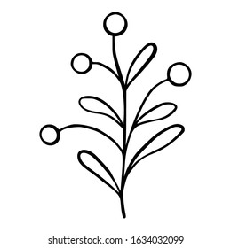 Simple doodle illustration of a cute plant.