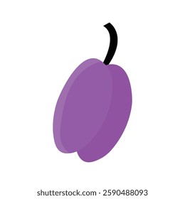 Simple doodle illustration of a purple plum with black stem isolated