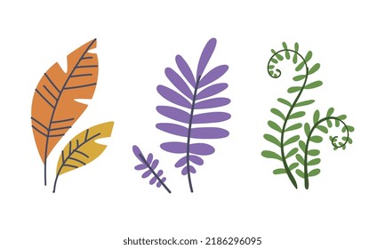 Hoja simple de doodle de planta sobre stem aislado en el conjunto de vectores de fondo blanco