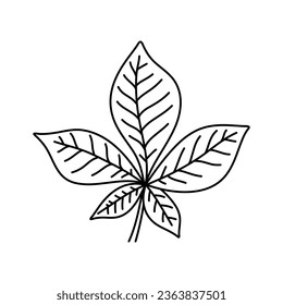 Simple doodle outline leaf of chestnut tree. Vector illustration, isolated on a white background
