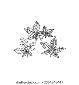 Simple doodle outline leaf of chestnut tree set. Vector illustration, isolated on a white background
