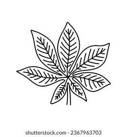 Simple doodle outline leaf of chestnut tree. Vector illustration, isolated on a white background