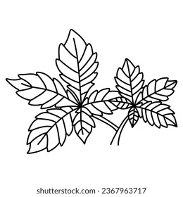 Simple doodle outline leaf of chestnut tree. Vector illustration, isolated on a white background