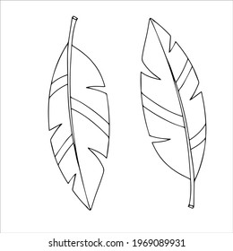Einfache Doodle einer Pflanze. Blätter von einem Baum. Vektorgrafik einzeln auf weißem Hintergrund. handgezeichnet.