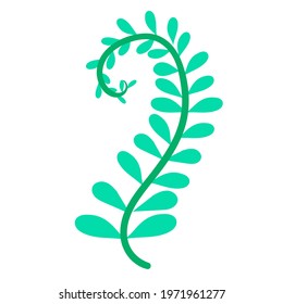 Simple doodle of a plant. Leaf from a tree. Vector illustration isolated on white background. hand-drawn.