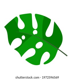 Simple doodle of a plant. Leaf from a tree. Vector illustration isolated on white background. hand-drawn.