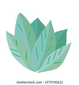 Simple doodle of a plant. Leaf from a tree. Vector illustration isolated on white background. hand-drawn.