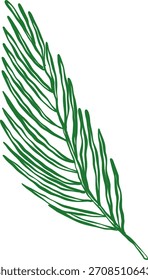 Simple Doodle Sketch of Biblical Palm Leaf Element