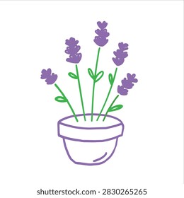 A simple doodle style drawing of a purple lavender plant growing in a rounded pot against a plain white background