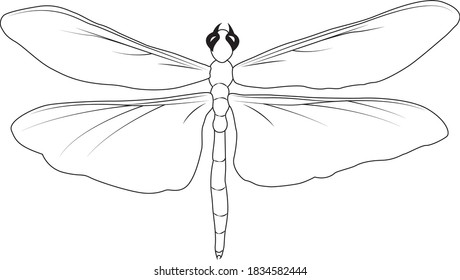 Simple Dragonfly Line Art - Outline