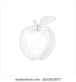A simple drawing of an apple with a leaf on top. The apple is drawn in black and white, and the leaf is drawn in a lighter shade of green. The image has a minimalist and clean look