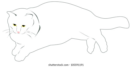 simple drawing big white cat