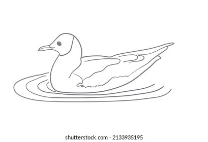 Simple drawing, contour of a seagull. Vector illustration