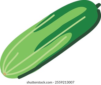 Simple drawing of cucumber, farm products, healthy food, vegetables